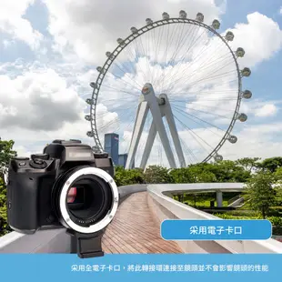 JJC EF-EOS M 轉接環相機鏡頭自動對焦適配器 佳能Canon EOS M5 M6 M50 Mark II 適用