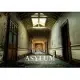 Asylum: Inside the Pauper Lunatic Asylums