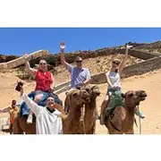 Save 5.00%! Private full Day Tour in Tangier including camel ride