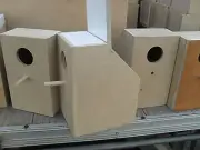 English budgies breeding boxes nesting boxes