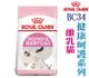 宅貓購★法國皇家 ROYAL CANIN 健康系列 BC34 離乳貓 400g