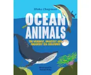 Ocean Animals