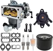 WHFZN Carburetor For John Deere Z445 Carb Zero Turn Mower Compatible with Kawasaki FH721V 25Hp Engine Carburetor With Oil Filter, Fuel Pump