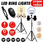 10"/12''/14"/18" Dimmable Diva LED Ring Light Tripod Stand Selfie Circle Lamp