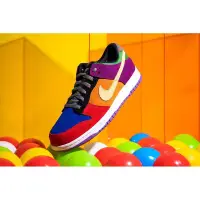 在飛比找蝦皮購物優惠-Nike Dunk Low Sb Viotech 彩虹彩蛋 