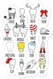 Teegarb Sticker Decal Vinyl Humorous Dentistry Doctor Cavity Cavities Orthodontist Fan Bubble-Free Stickers