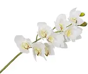 Calcifer 6 Stems (10 Flower Heads/Stem) Artificial Silk Cymbidium Orchid Bouquets Artificial Flowers for Hotel Home Party Wedding Decoration (White&Yellow Heart)