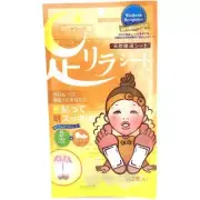 Nakamora Detox Foot Patch - Ginger 2 Sheet 天然竹树液生姜足贴