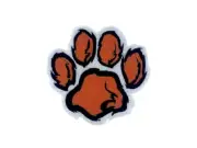 Embroidery patch sew badge iron on glue transfer paw dog bear