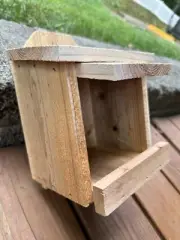 Nesting Box for Robins Cardinals Bluebirds Doves Birds Birdhouse Nest Shelter