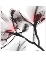 Empire Art Direct Coral Luster 2 by Albert Koetsier Wall Art