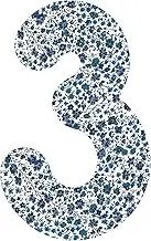 Liberty Phoebe R 3" Number Applique, 2 Inch
