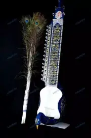 Professional Musical Instrument Taus Blue Mayuri Veena Peacock Shaped Body