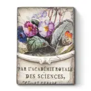 Sid Dickens T-570 Primula Memory Block Tile