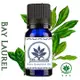 百翠氏月桂精油Bay Laurel Oil純精油10ml