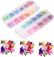 OSOLADY 2 Boxes Butterfly Nail Art Glitter Sequins DIY Decorations Manicure Accessories 24 Colors for Home Salon Use