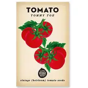 Little Veggie Patch Tomato 'Tommy Toe' Heirloom Seeds