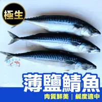 在飛比找蝦皮購物優惠-挪威薄鹽鯖魚 鯖魚 350g /大隻包裝 /整隻鯖魚 /開背