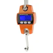 300kg Electronic Industrial Hanging Crane Scale