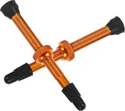 Anneome 1 Pair Metal Tubeless Valve Stems for Bicycles Durable and Caps Prevents Air Leakage for Mountain Bikes and Road Bikes