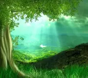 3D Cloud tree 6 Blockout Photo Curtain Printing Curtains Drapes Fabric Window AU