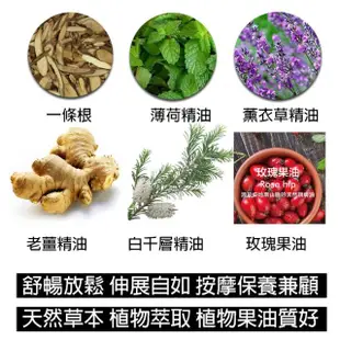 【金牌一條根】金牌金門一條根勁熱膏油膏-勁熱舒緩3罐組(90g/罐 一條根 熱性 舒緩 酸痛再見)