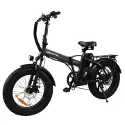 [EU DIRECT] GERPSI GPS-DZ2002 Electric Bike 48V 13AH Battery 500W Motor 20*4.0inch Tires 40-50KM Mileage 120KG Payload F