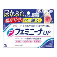 在飛比找比比昂日本好物商城優惠-小林製藥 Feminina Up 女性私密處 止癢消炎軟膏 