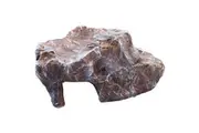 Komodo Rock Den Brown Large