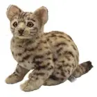 BH7844 HANSA Bengal Wildcat 35