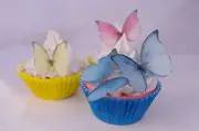 Edible Butterfly Cake Decoration Princess 20pc Rainbow Rice Paper Birthday Party