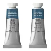 2x Winsor & Newton 14ml Professional Watercolour Artist Paint Payne's Gray S1