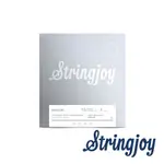 STRINGJOY 50-105 四弦不銹鋼電貝斯套弦 RA50105LS 公司貨