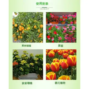 【^.^台灣出貨】正品 阿司匹林粉 養花綠植果蔬通用 爆根 延長花期 花大色艷 阿司匹林粉末 養花骨粉 養花 花卉