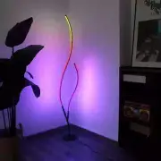 Floor Lamp LED Modern With Remote - RGB Night Light Bedside Lamp Home Decor