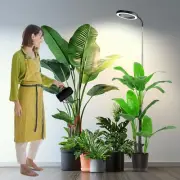 Grow Lights for Indoor Plants, Full Spectrum 65'' Plant Light with Gooseneck,...