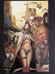Altered State Red Sonja COVER Dynamite Comics Poster 8x12