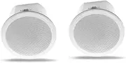 Built-in Amplifier Full Range Bluetoothback Cover Home Theater Background Music Ceiling Speaker(B)