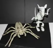 Set of 2 Skeleton Graveyard Halloween Scary Sturdy 7" Rat and 9" Spider reusable