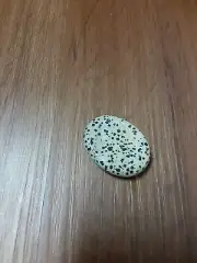 Dalmatian Jasper Worry Stone