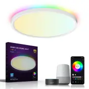 30W Smart LED Ceiling Light Dimmable Ceiling Light Fixture 2700K~6500K, RGB Ambient Light Work with Alexa Google Home fo