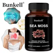 Sea Moss Bladderwrack and Burdock Capsules Organic Irish Moss Bioperine