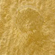Corn Flour Meal Quality Natural Starch Ceylon Organic Pure High Powder 100%