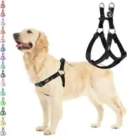 No Pull Dog Harness Soft Adjustable Basic Nylon Step in Puppy Vest Outdoor Walki