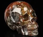 Skullis 5.0" African Petrified Wood Crystal Skull, Hand Carved Gemstone Fine Art Sculpture, Reiki Healing Stone Statue.2864