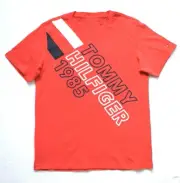 Tommy Hilfiger Boy's Short Sleeve Graphic Tee Size: (16/18)