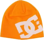 [DC Shoes] Men's Cap
