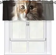 LHBWCVN Cute Kitty Valances for Windows, Rod Pocket Window Treatment Drapes Farmhouse Kitchen Curtains Short Blackout Window Curtains for Living Room Bedroom Decor 54x18 Inch