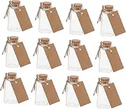 Set of 12 Mini Glass Bottles Cork Stopper 25ml Glass Vials Small Jars for DIY Decorations Wishes