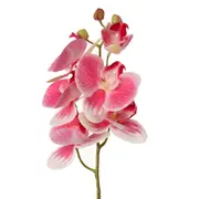 2PCS 3D Artificial Butterfly Orchid Flower Home Wedding Party Car DIY Home Decorations 04 COLOUR